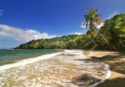 Beautiful beach in Dominica