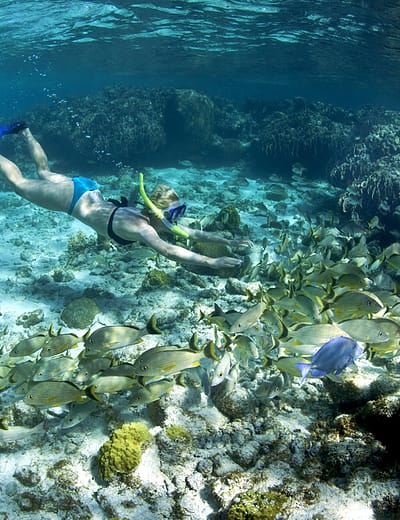 Woman diving in Belize