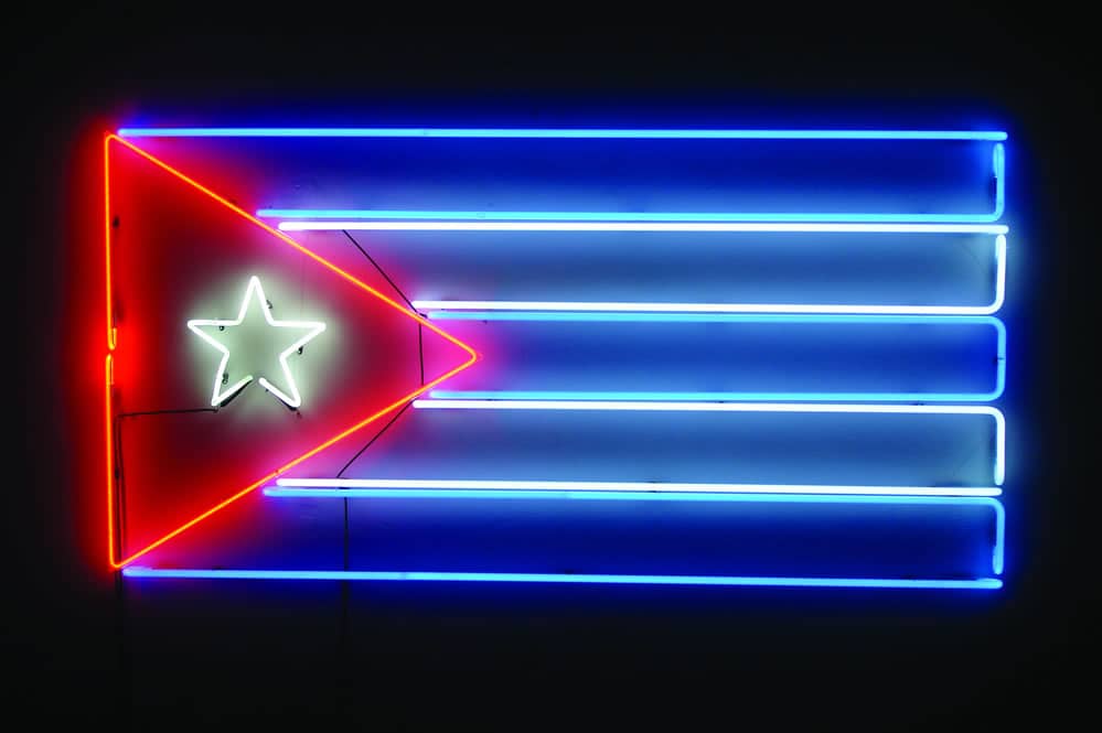 “Flag my height” by Felipe Dulzaides (2007, Neon, 174 x 87 cm), image courtesy of Galería Habana