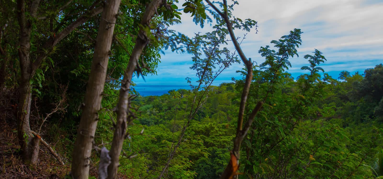 0.16 Acre Lot of Land for Sale, Dixon Cove, Roatan 7th Heaven Properties