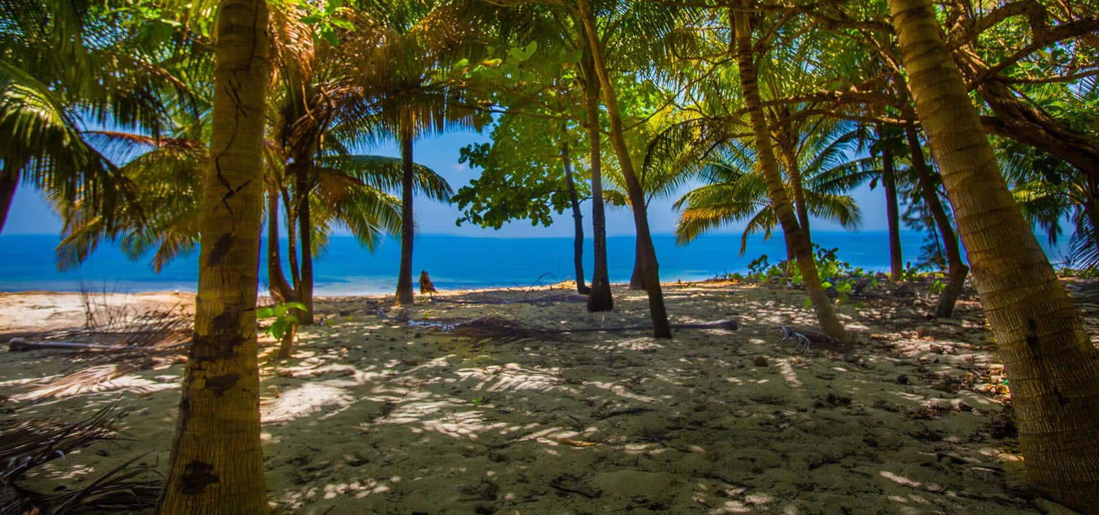 0.67 Acres of Beachfront Land for Sale, Palmetto Point, Roatan 7th