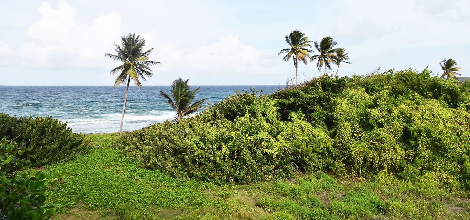 9 Bedroom Beachfront Villa Development for Sale, Bathway Beach, Grenada