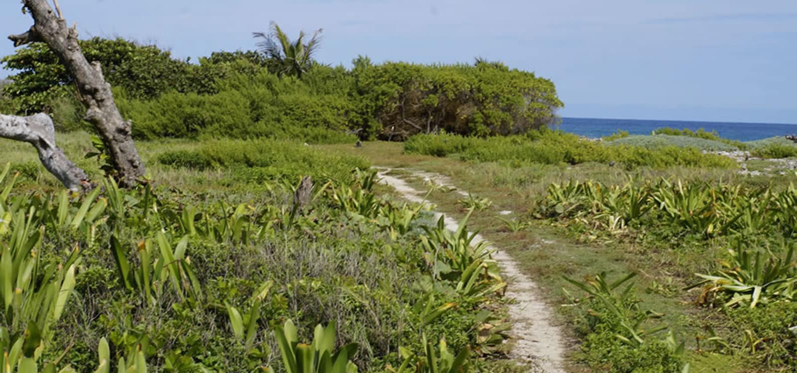 4 Acres of Waterfront Land for Sale, Pumpkin Hill, Utila, Honduras