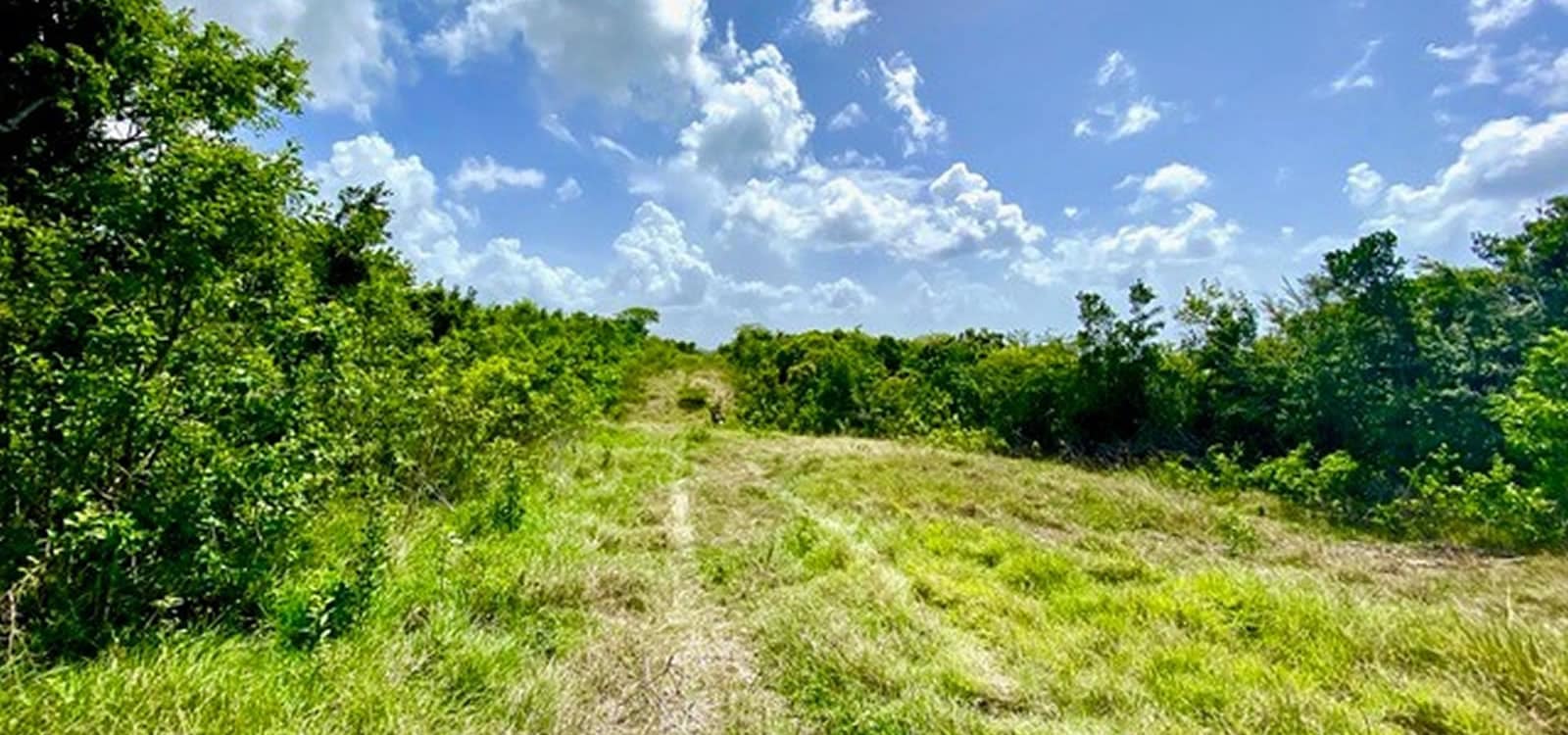 3 Acres of Land for Sale, Clifton Estate, Cades Bay, Nevis 7th Heaven
