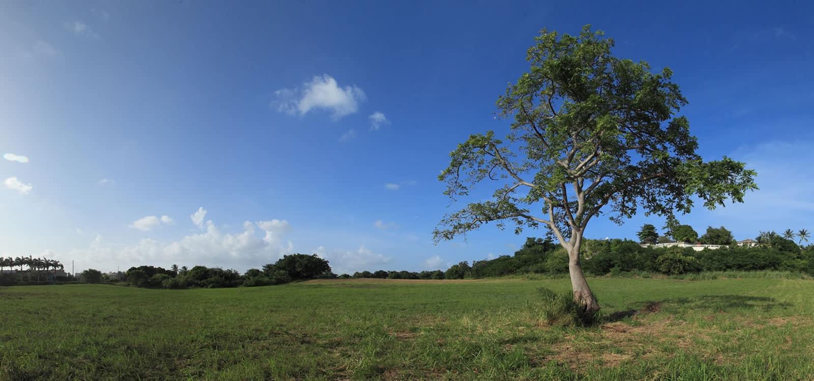 24 Acres of Land for Sale, Heywoods, St Peter, Barbados 7th Heaven