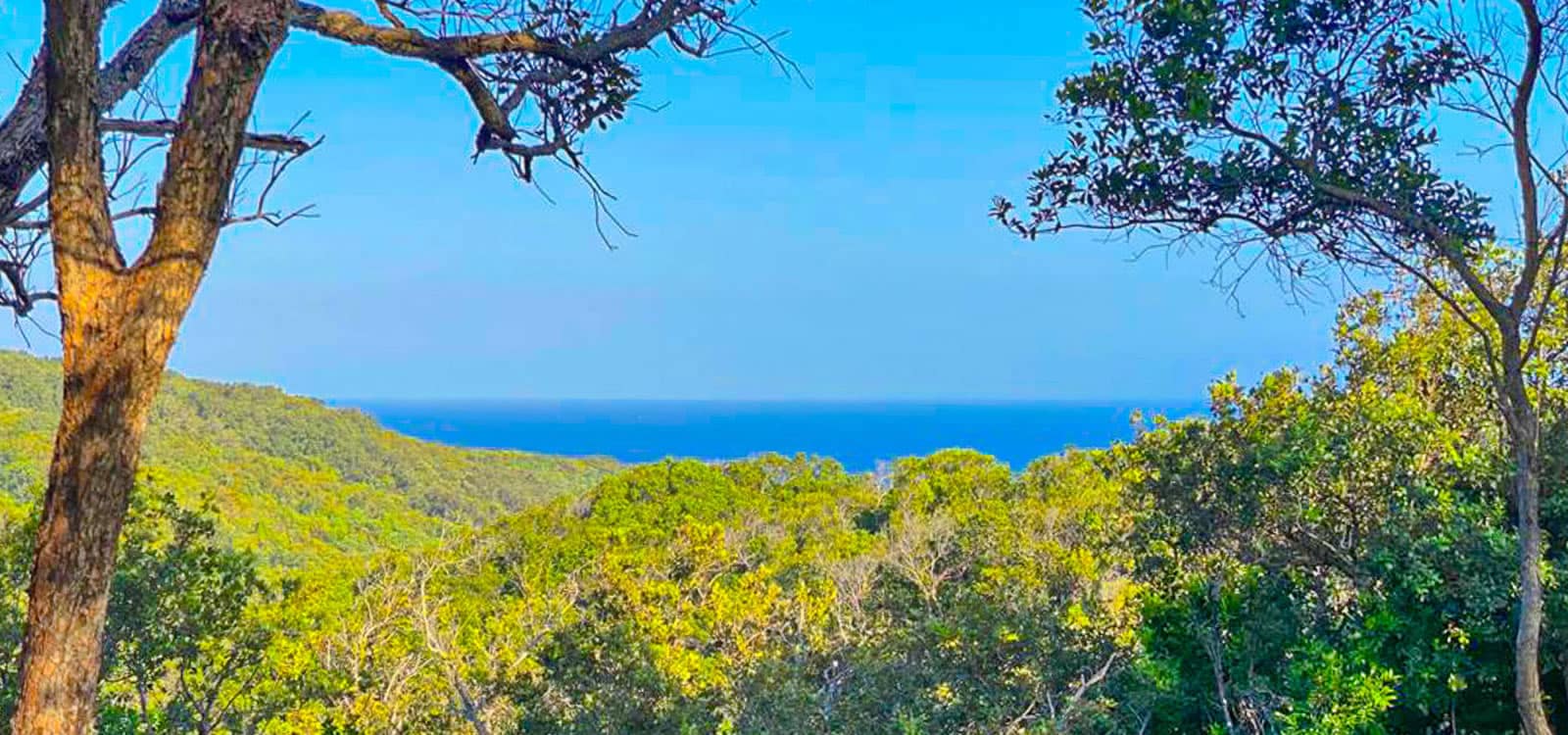 0.77 Acres of Land for Sale, Port Royal, Roatan 7th Heaven Properties