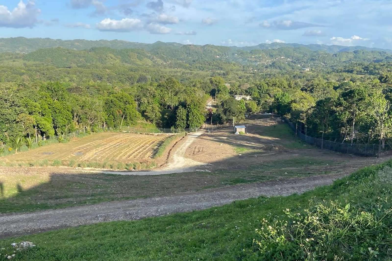 132 Acre Hemp Farm for Sale, Darliston, Westmoreland, Jamaica 7th