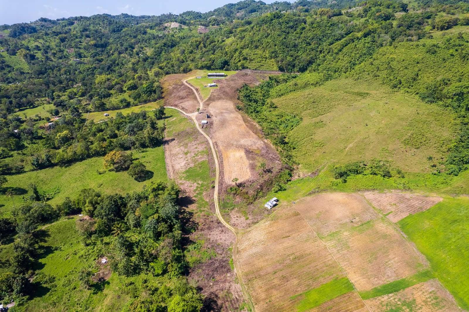 132 Acre Hemp Farm for Sale, Darliston, Westmoreland, Jamaica 7th