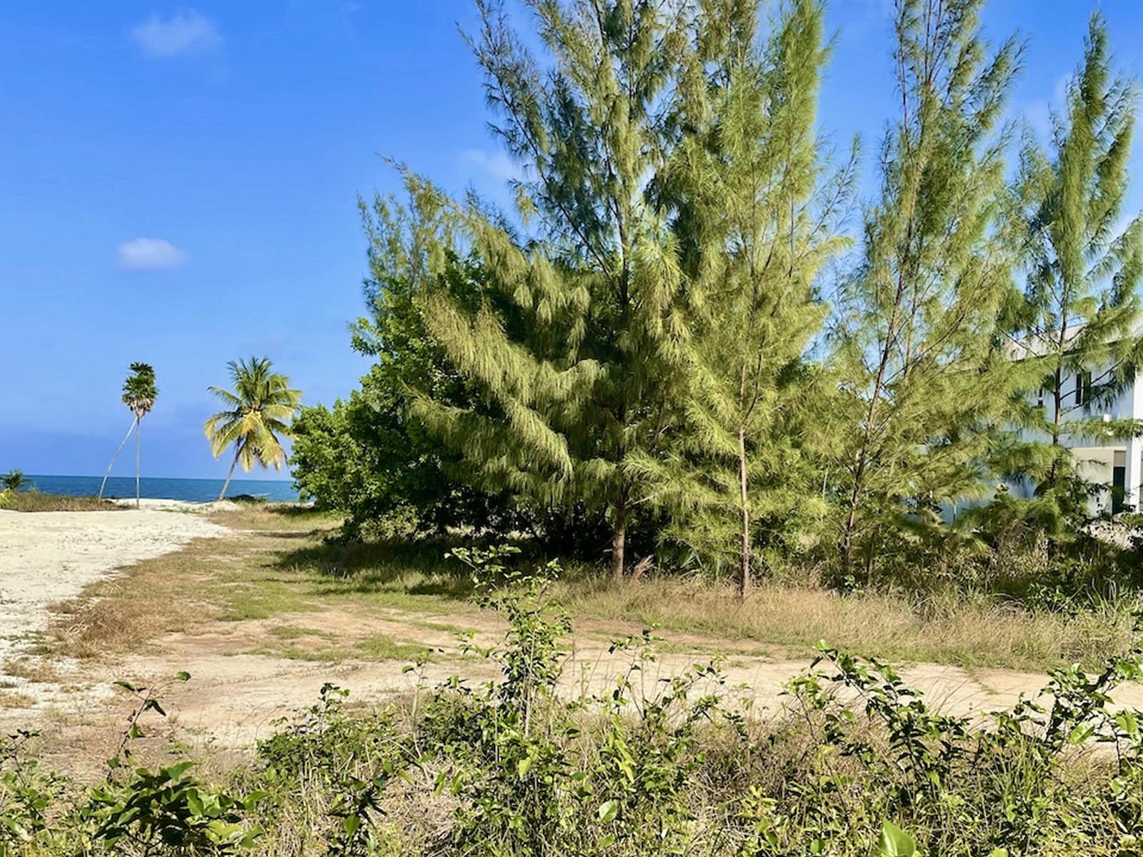 0.34 Acre Beachfront Lot for Sale, Caribbean Way, Placencia, Belize