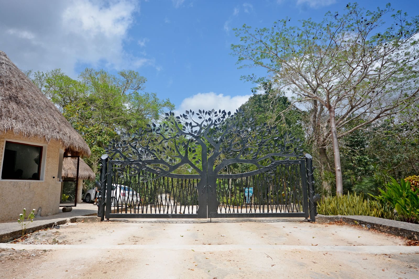 lots for sale in tulum