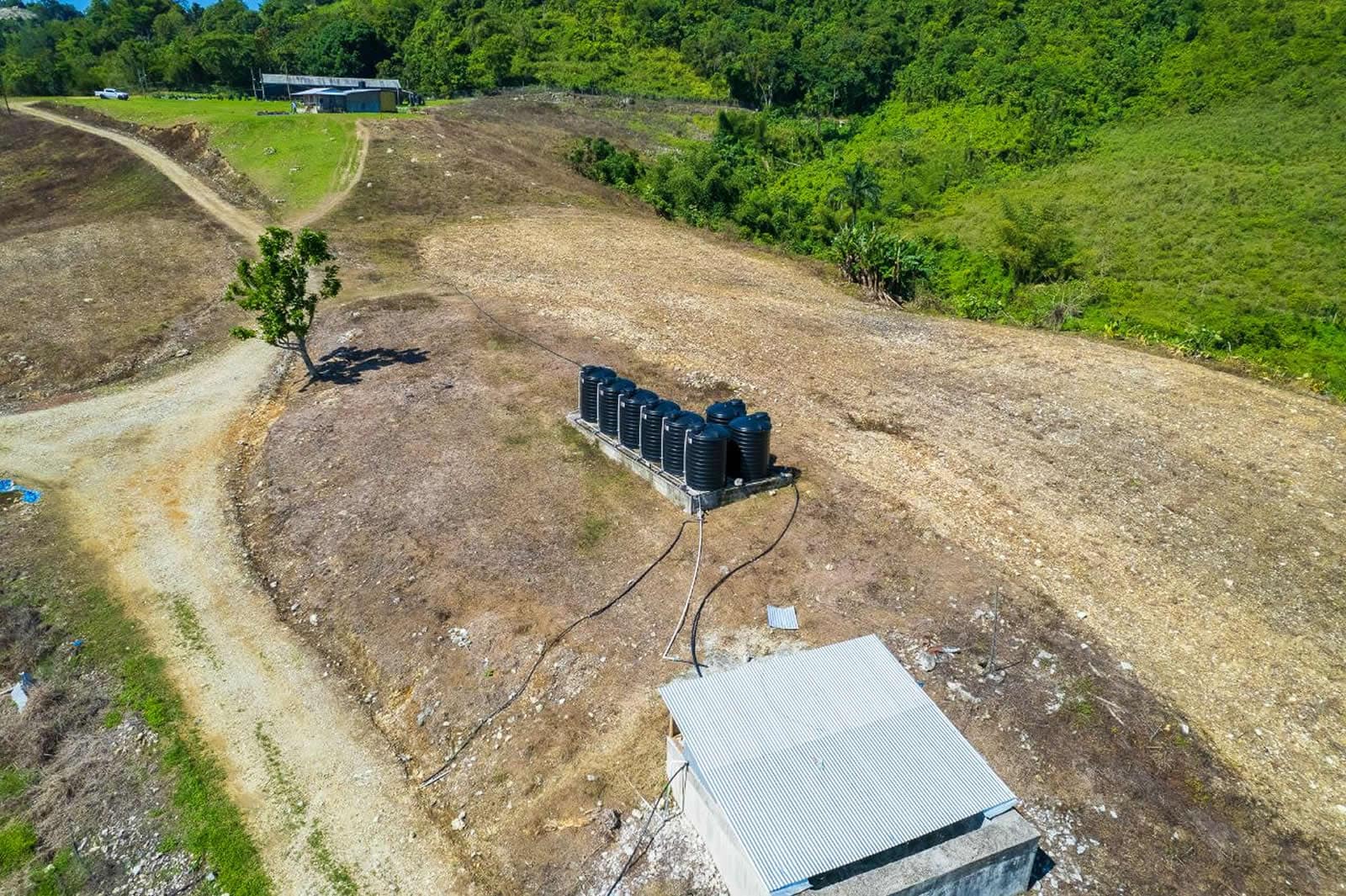 132 Acre Hemp Farm for Sale, Darliston, Westmoreland, Jamaica 7th