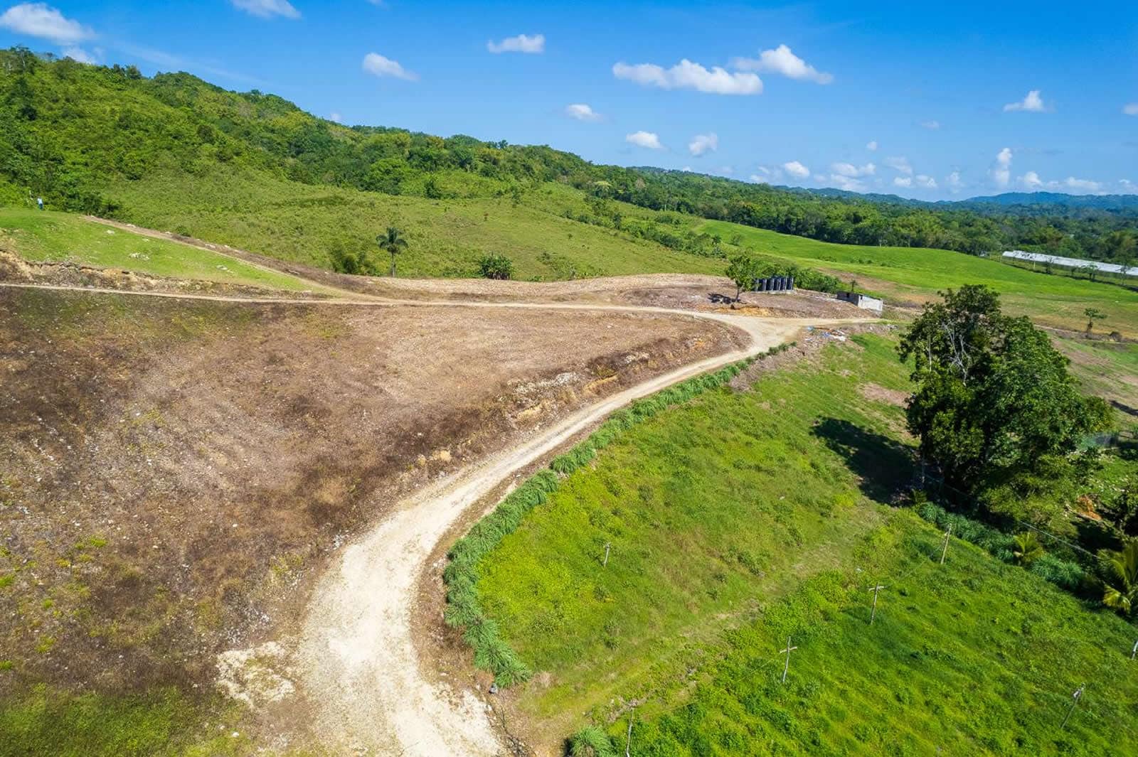 132 Acre Hemp Farm for Sale, Darliston, Westmoreland, Jamaica 7th Heaven Properties