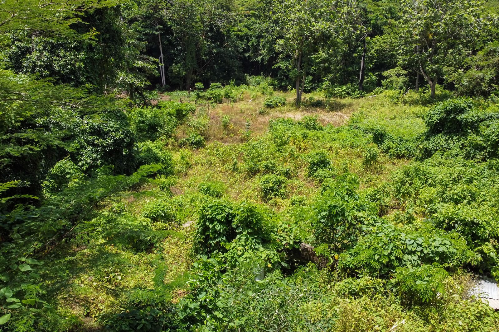 9.2 Acres of Beachfront Land for Sale, Crochu, St David's, Grenada