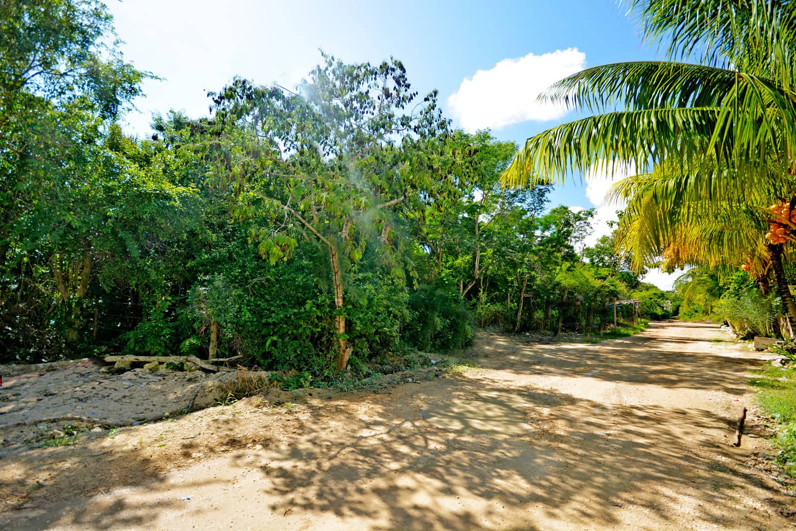 buy land in tulum