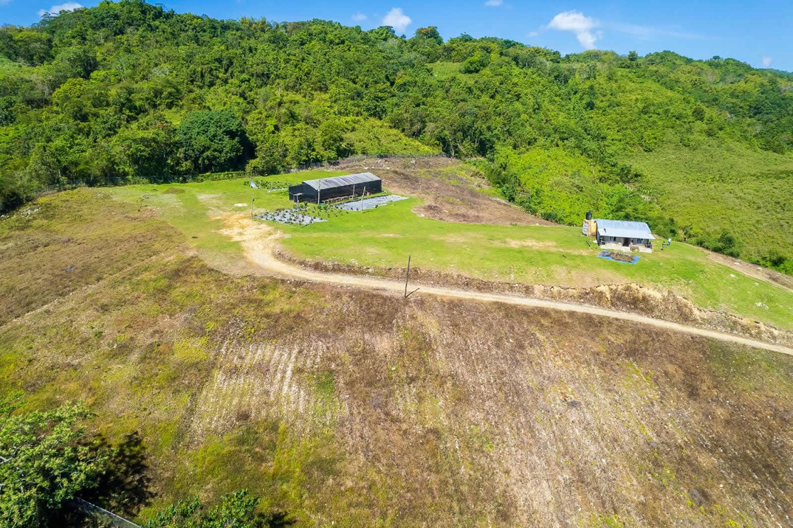 132 Acre Hemp Farm for Sale, Darliston, Westmoreland, Jamaica 7th
