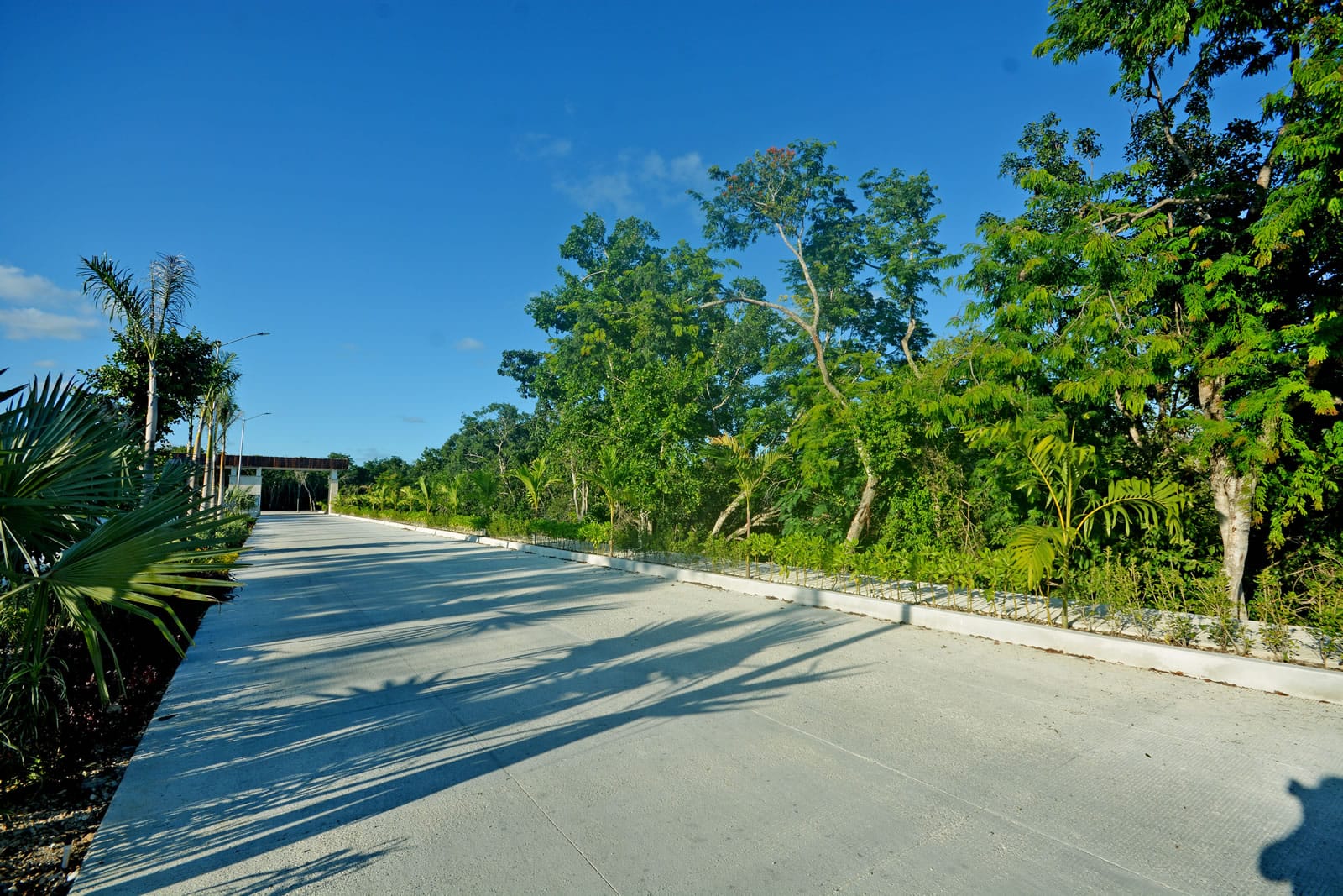 tulum land and property