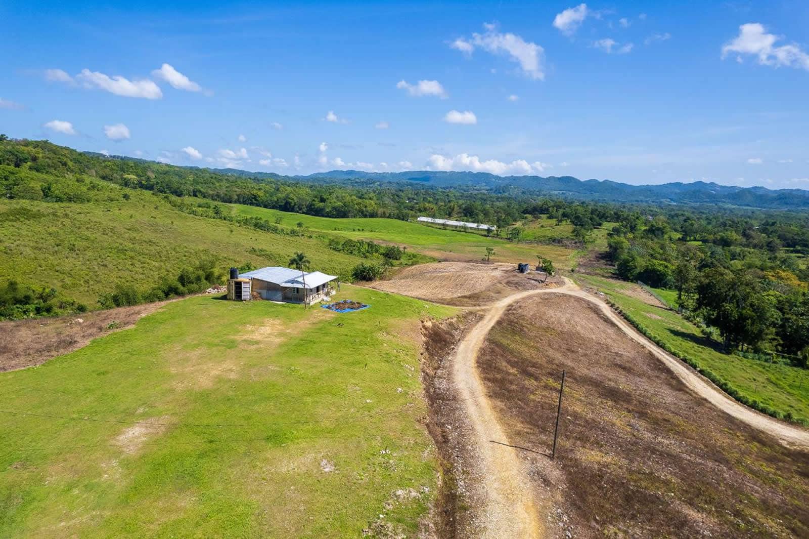 132 Acre Hemp Farm for Sale, Darliston, Westmoreland, Jamaica 7th