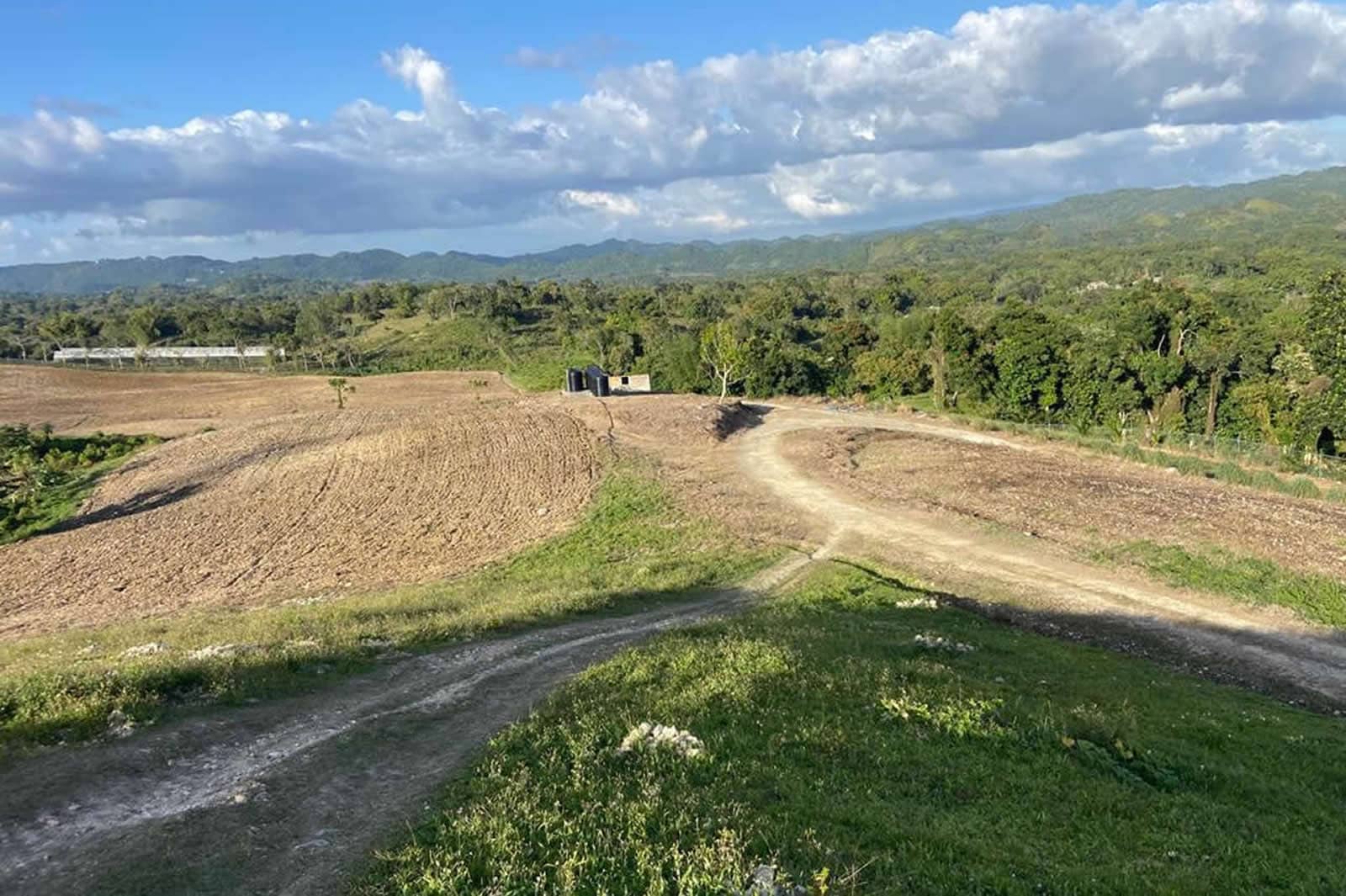 132 Acre Hemp Farm for Sale, Darliston, Westmoreland, Jamaica 7th