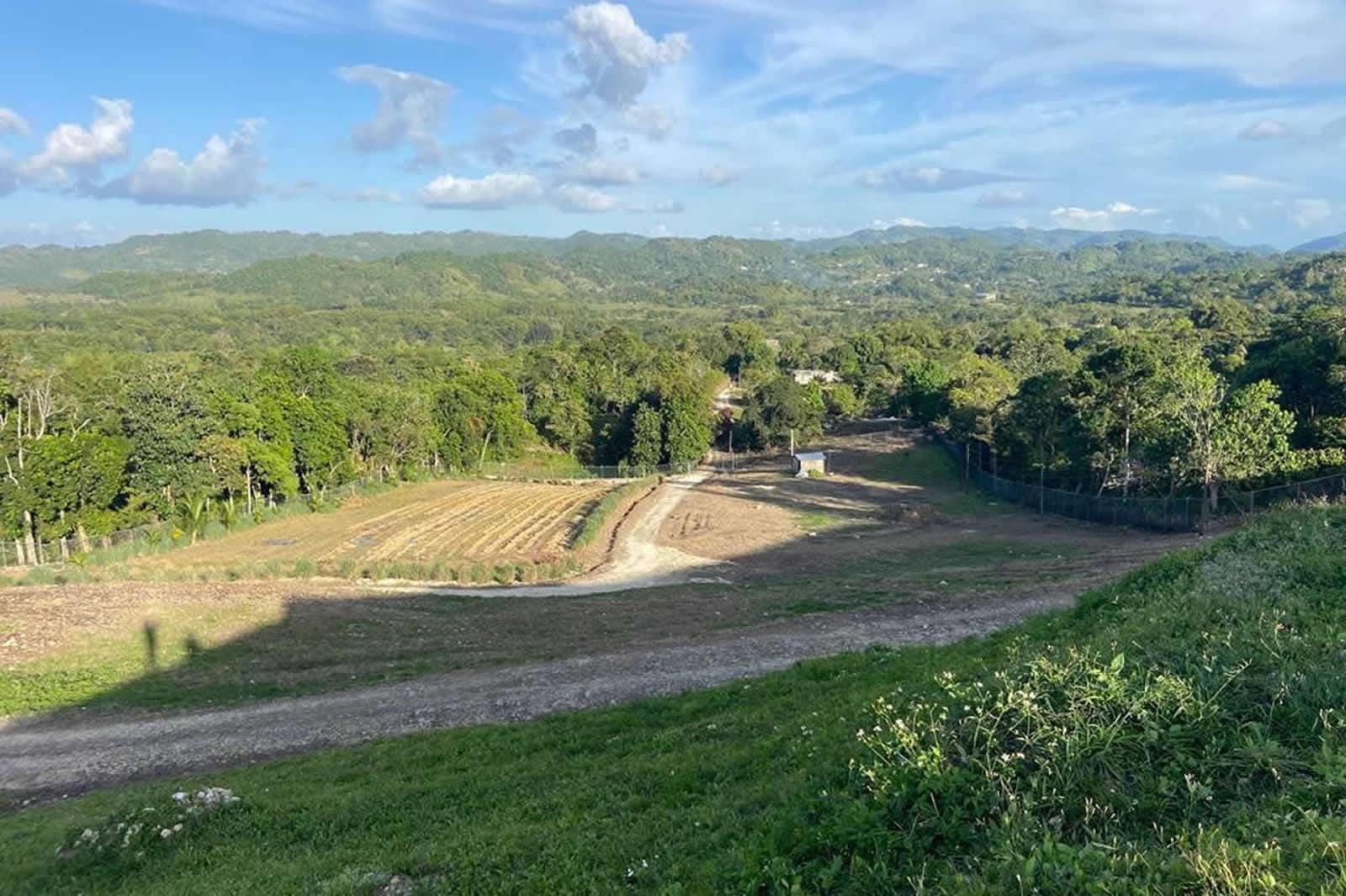 132 Acre Hemp Farm for Sale, Darliston, Westmoreland, Jamaica 7th