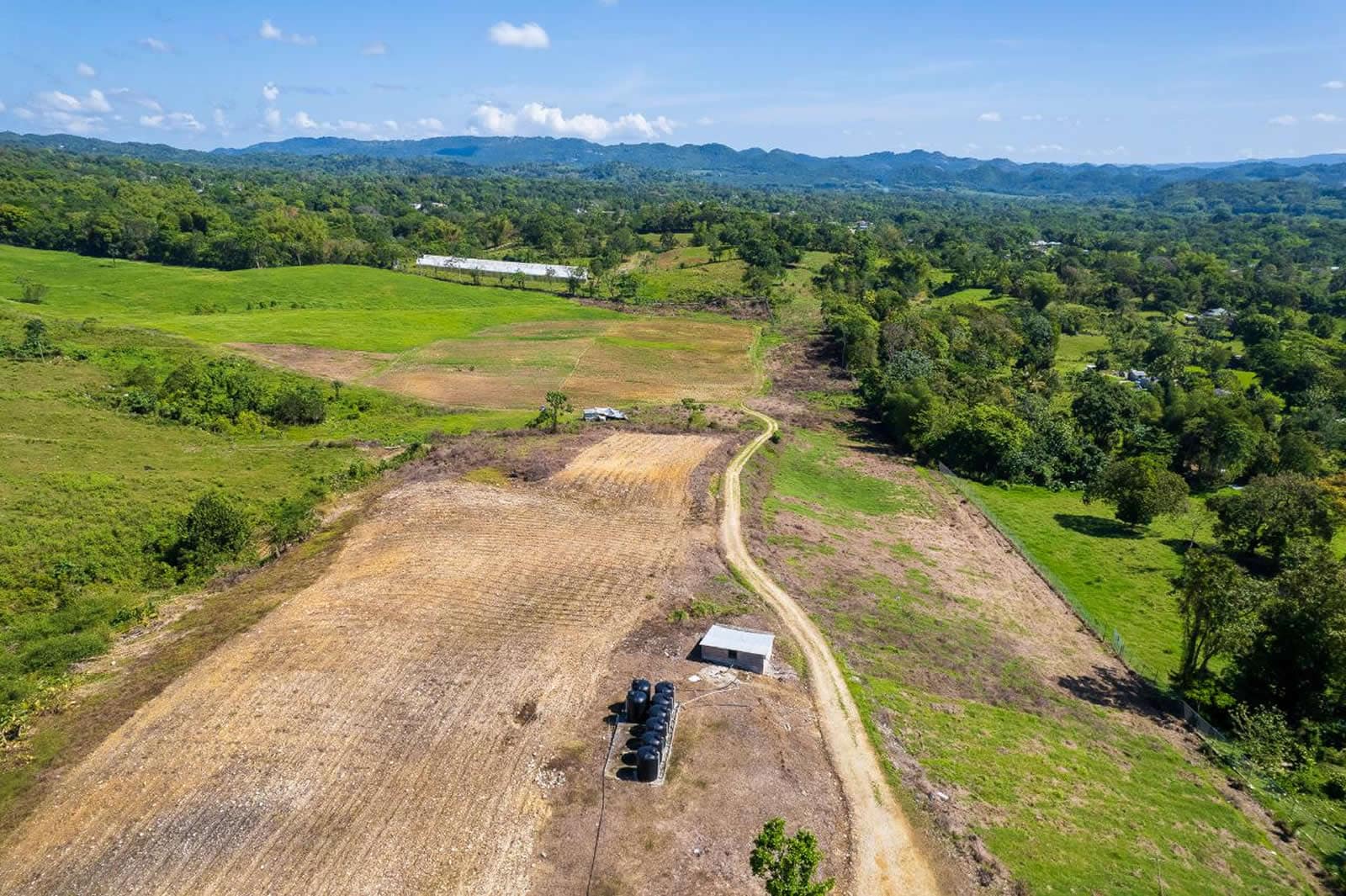 132 Acre Hemp Farm for Sale, Darliston, Westmoreland, Jamaica 7th
