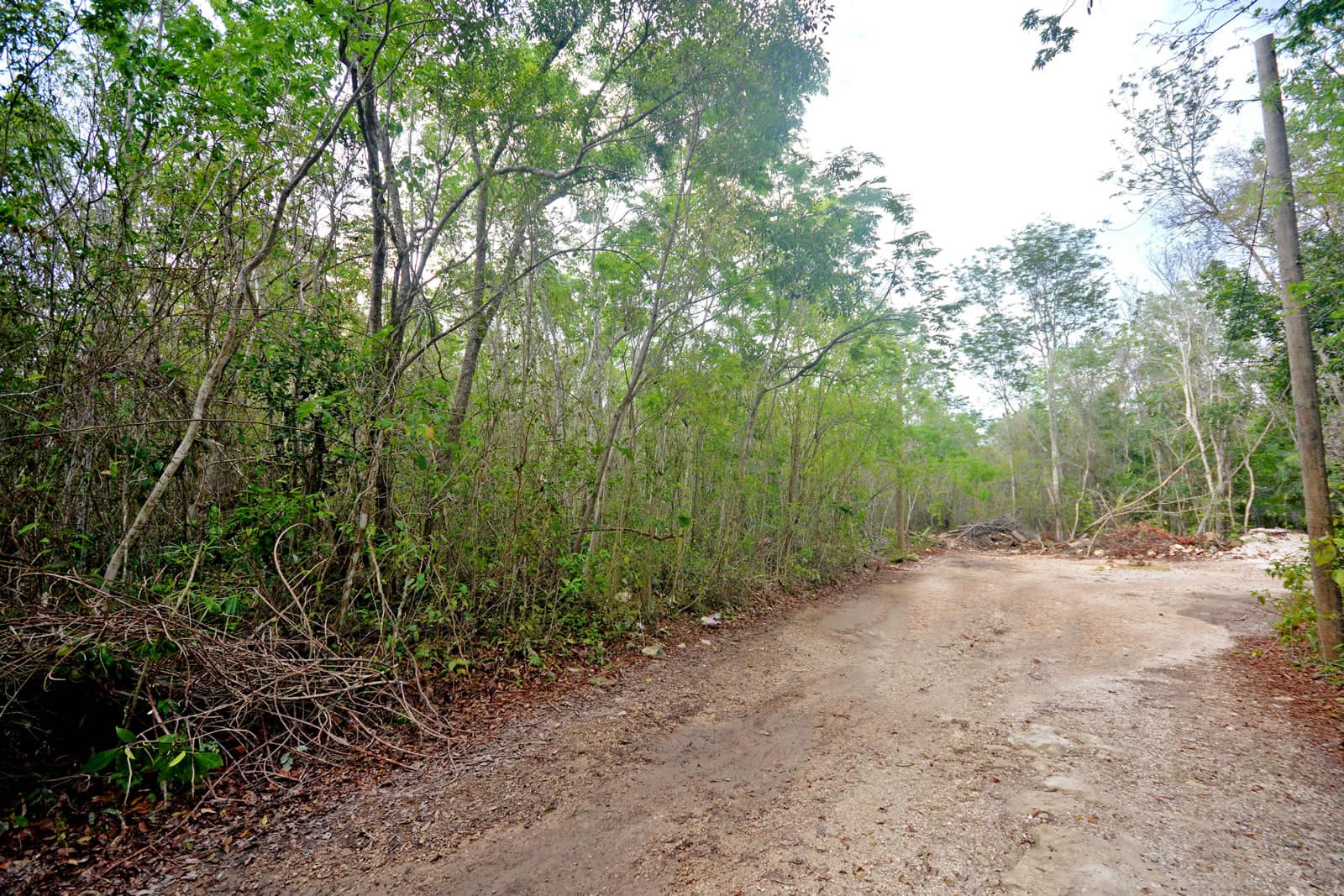 tulum land for sale