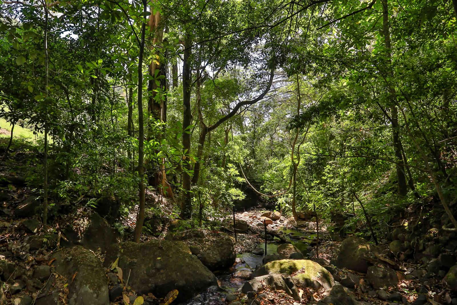 16 Hectares of Land for Sale, Atenas, Alajuela, Costa Rica 7th Heaven