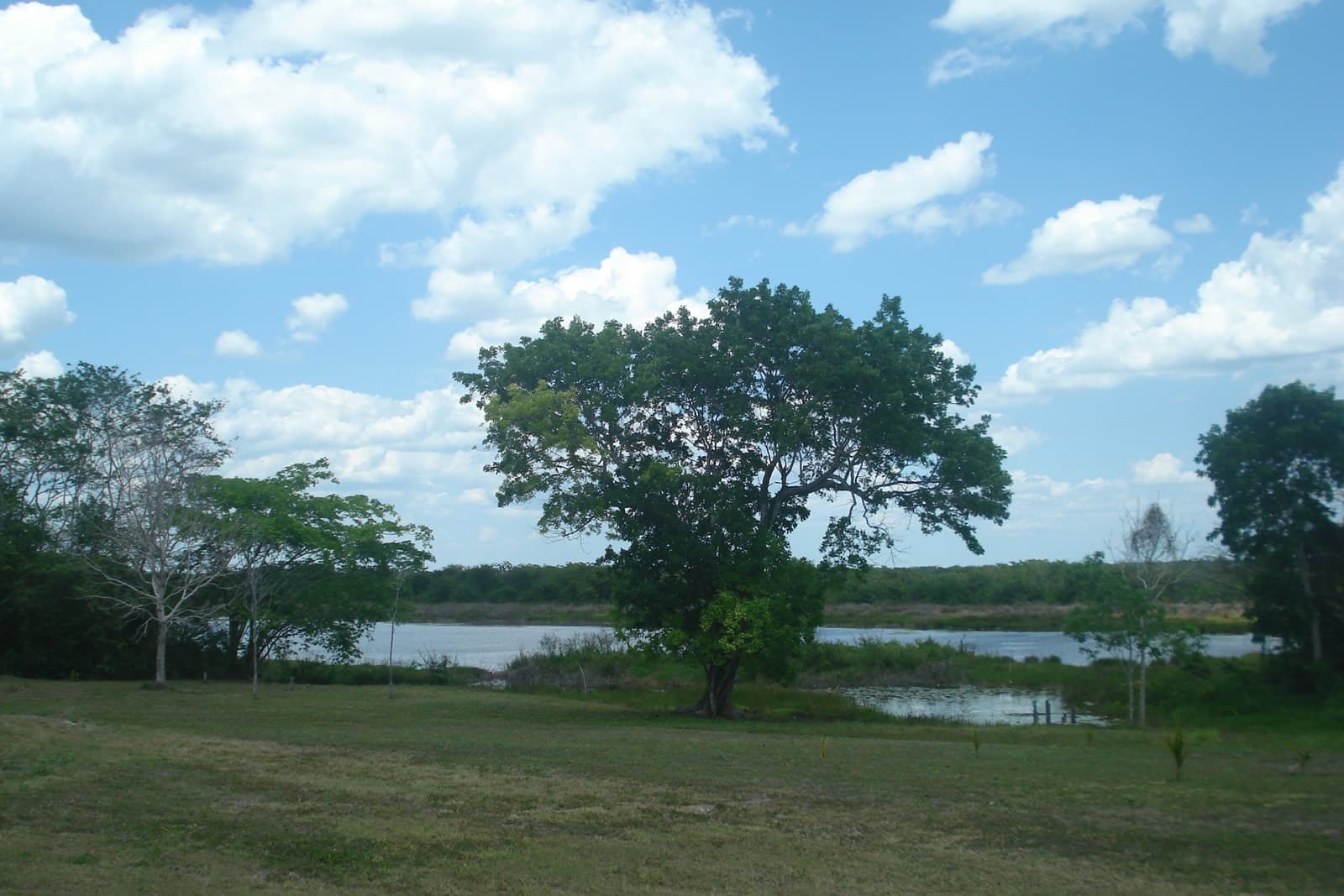 249 Hectares of Land for Sale, Nueva Loria, Felipe Carrillo Puerto