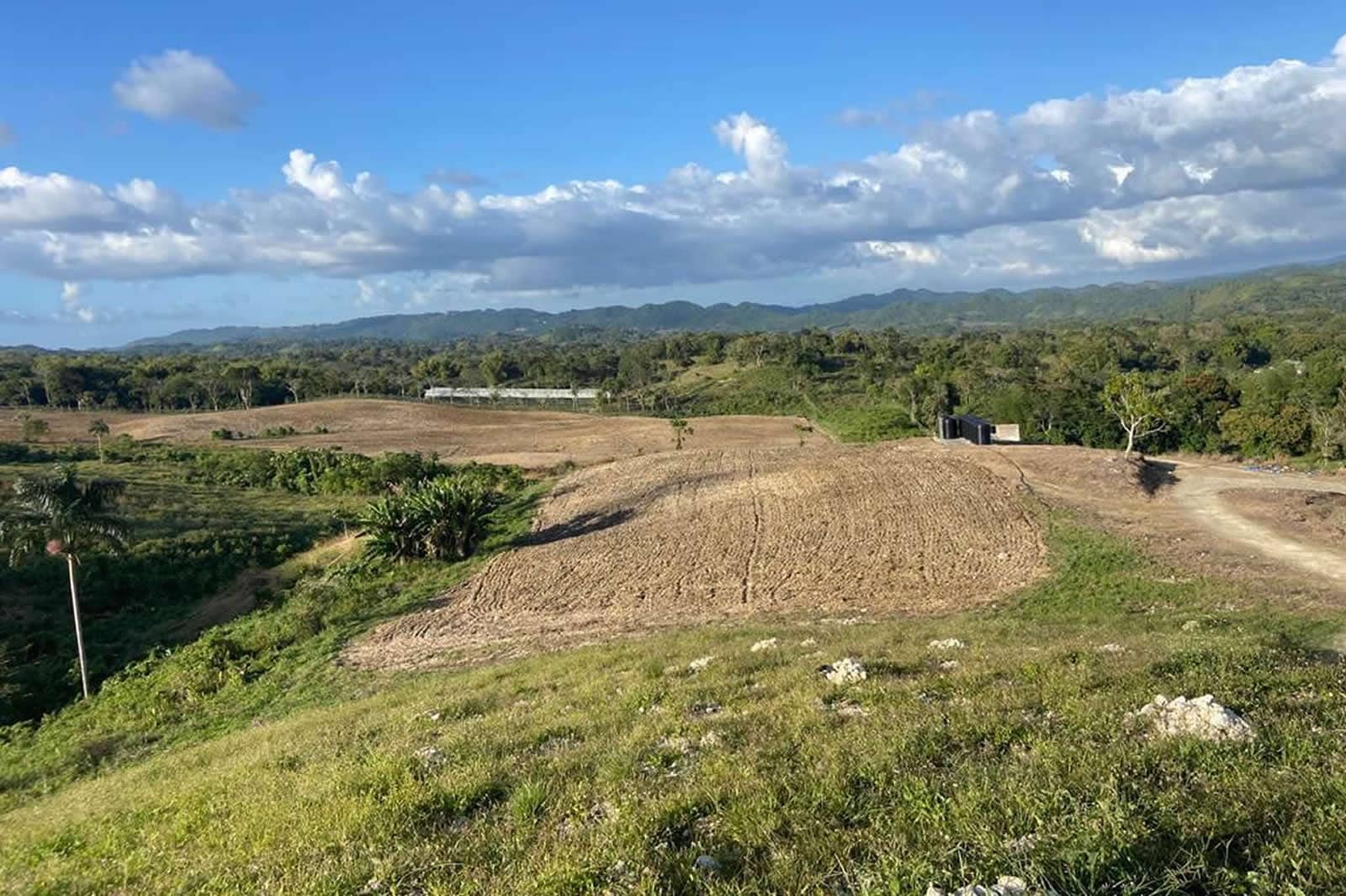 132 Acre Hemp Farm for Sale, Darliston, Westmoreland, Jamaica 7th