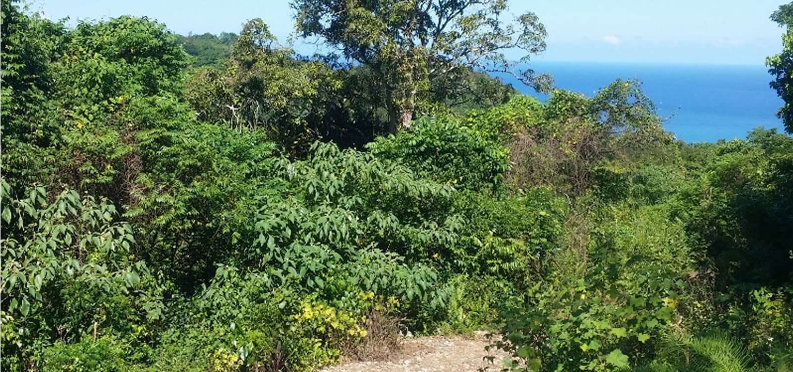 63 Acres of Land for Sale, Montego Bay, Jamaica 7th Heaven Properties