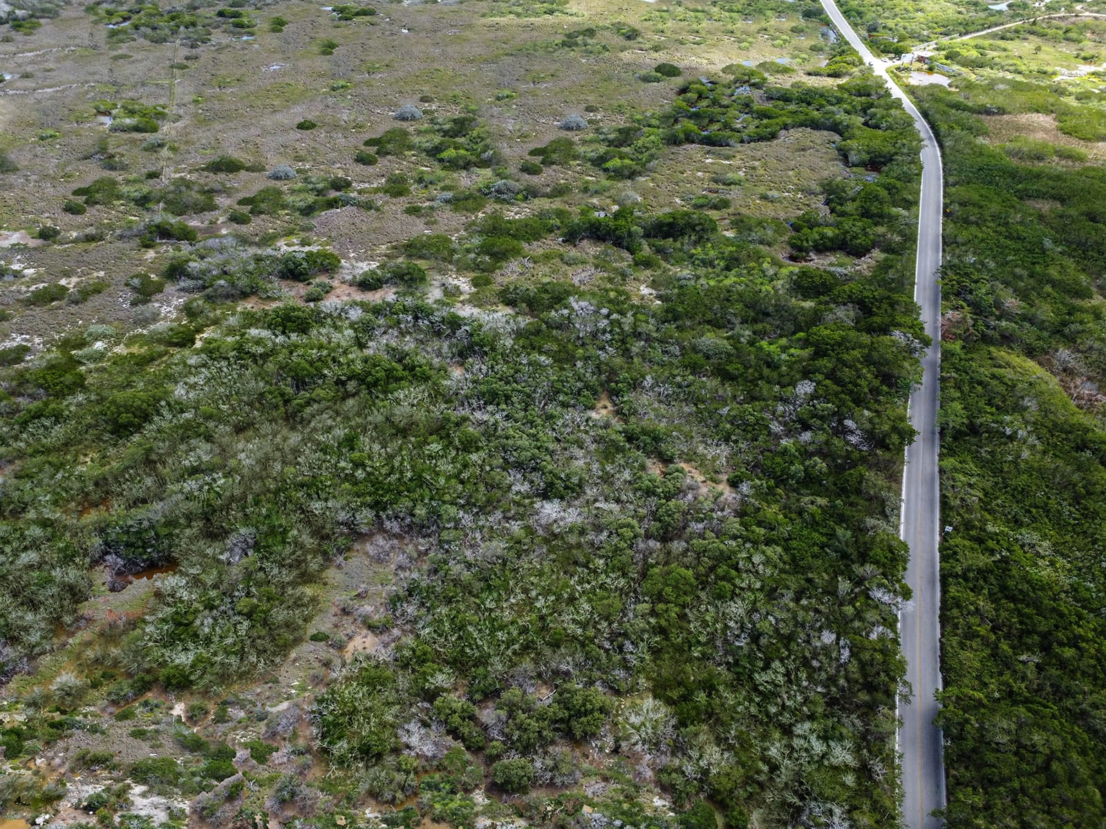 16 Acres of Land for Sale, Chicxulub Puerto, Merida, Yucatan, Mexico