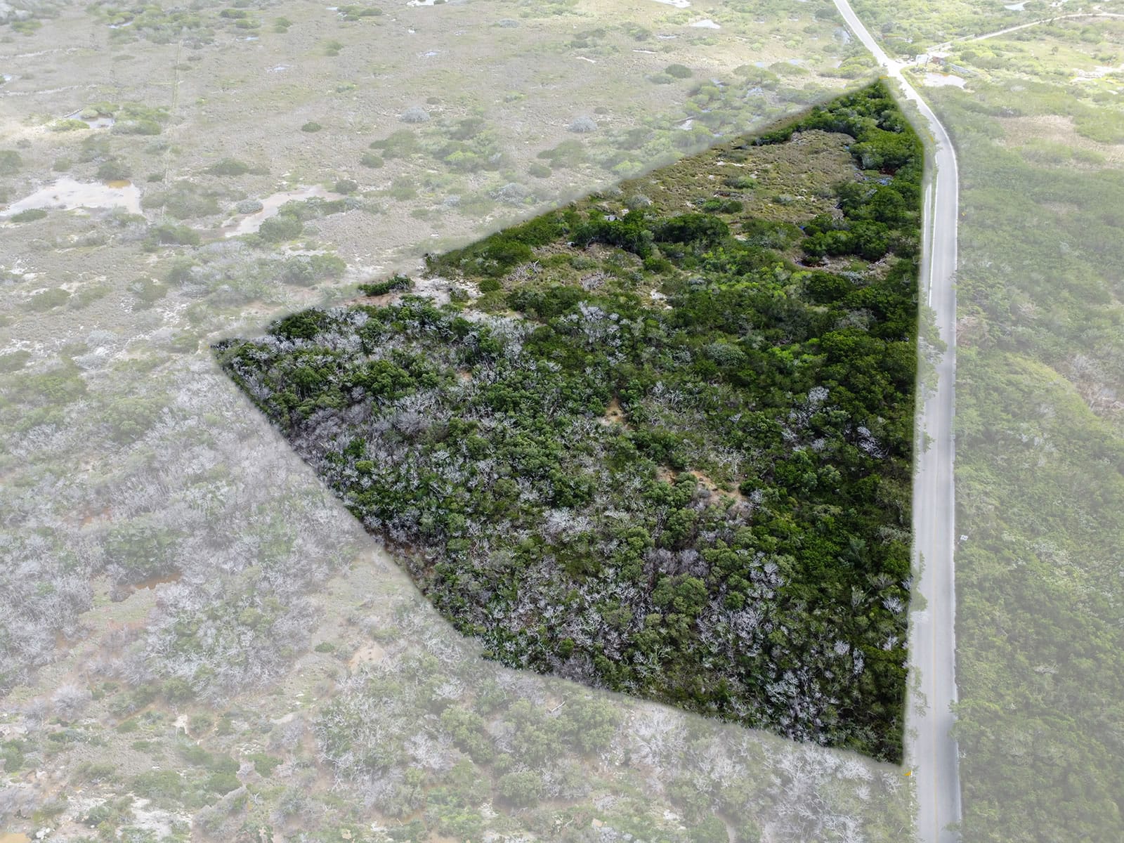 16 Acres of Land for Sale, Chicxulub Puerto, Merida, Yucatan, Mexico