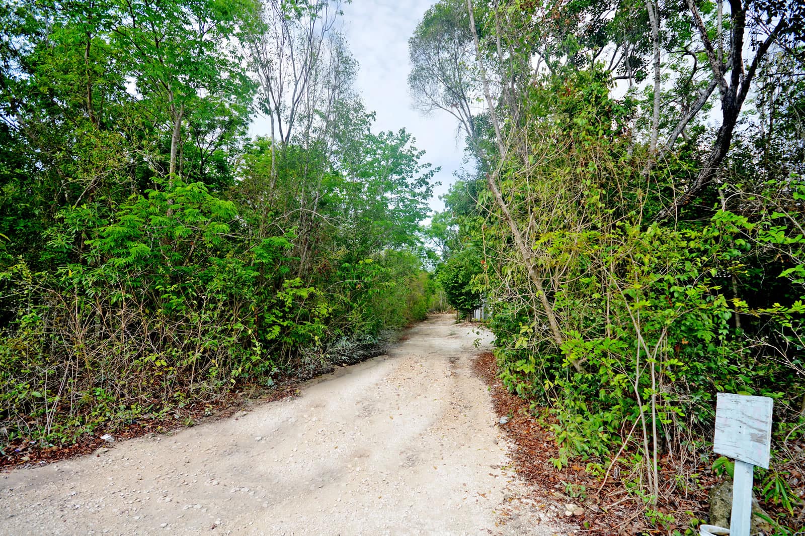3,031 Square Meters of Land for Sale, Tulum, Riviera Maya, Mexico 7th