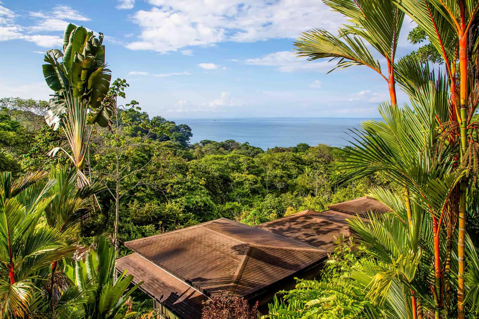 9Villa Hotel for Sale, Dominical / Uvita, Puntarenas, Costa Rica 7th