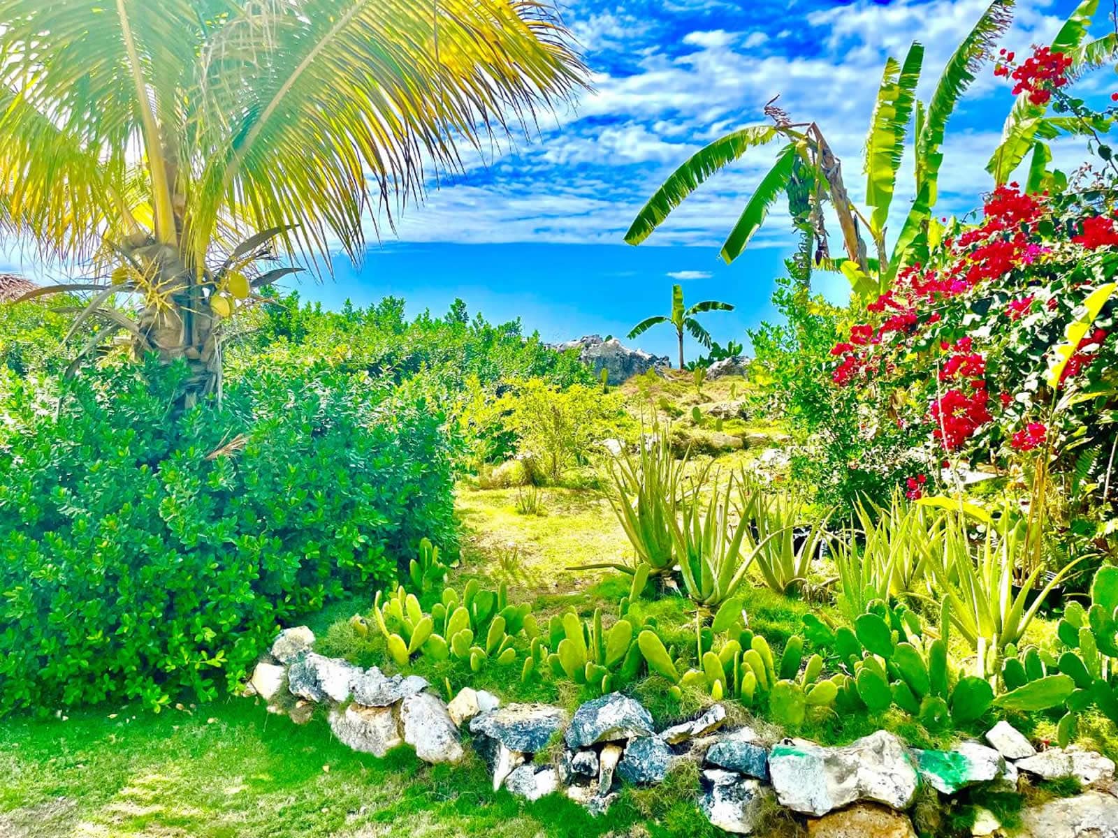 2 Bedroom Townhouse for Sale, Little Bay Country Club, Negril