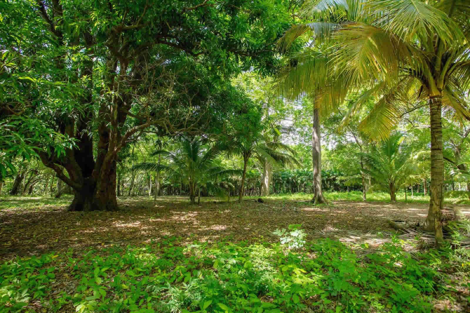 0.29 Acre Riverside Lot for Sale, Rio Colorado, Hacienda Iguana, Tola
