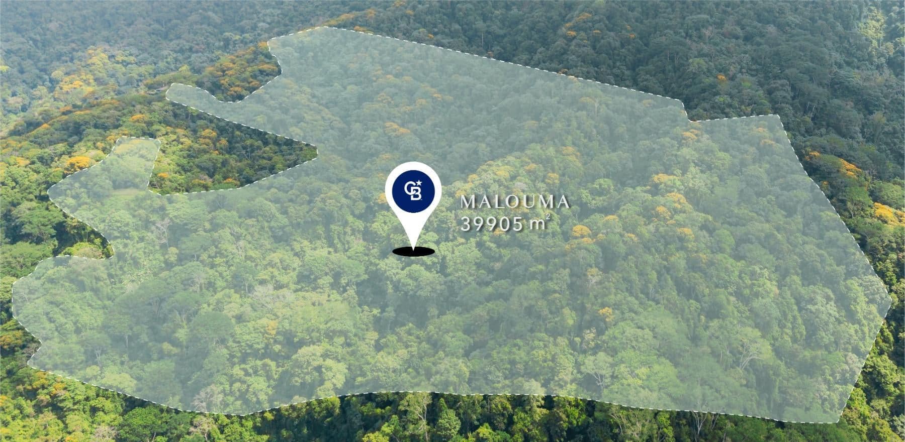 98.6 Acres of Cloud Forest Land for Sale, Uvita, Puntarenas, Costa Rica ...