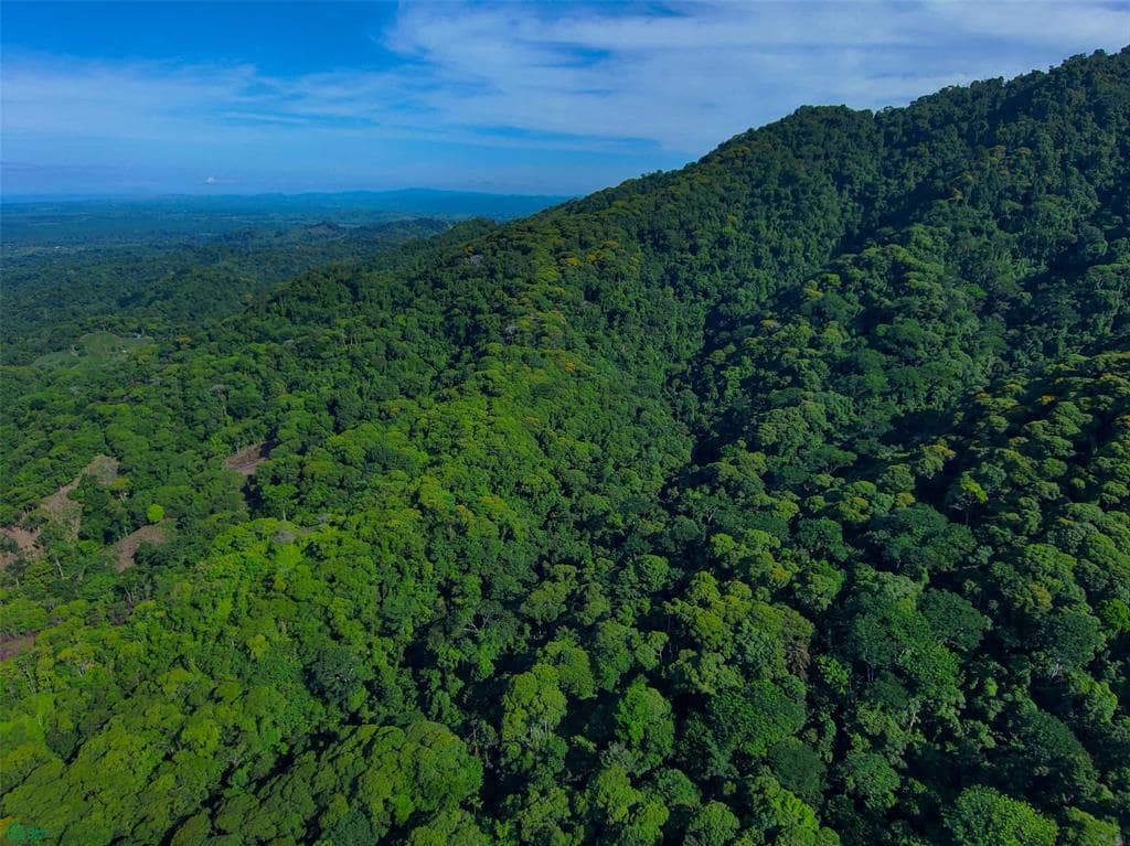 142 Acres of Forest Land for Sale, Quepos, Puntarenas, Costa Rica - 7th ...
