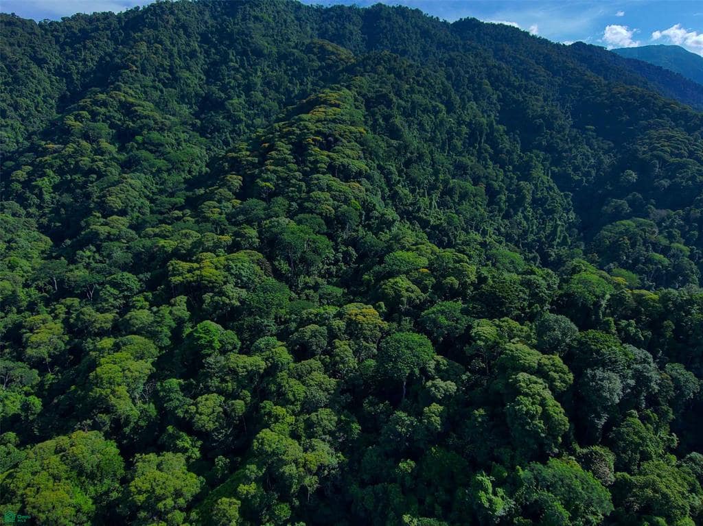 142 Acres of Forest Land for Sale, Quepos, Puntarenas, Costa Rica - 7th ...