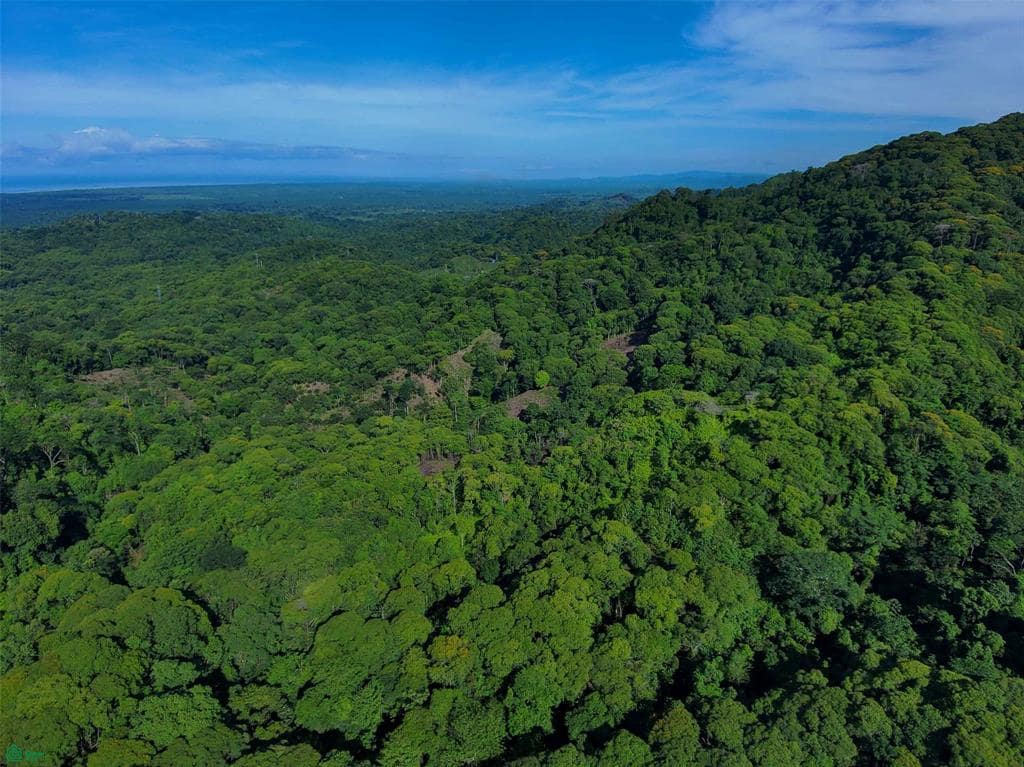 142 Acres of Forest Land for Sale, Quepos, Puntarenas, Costa Rica - 7th ...