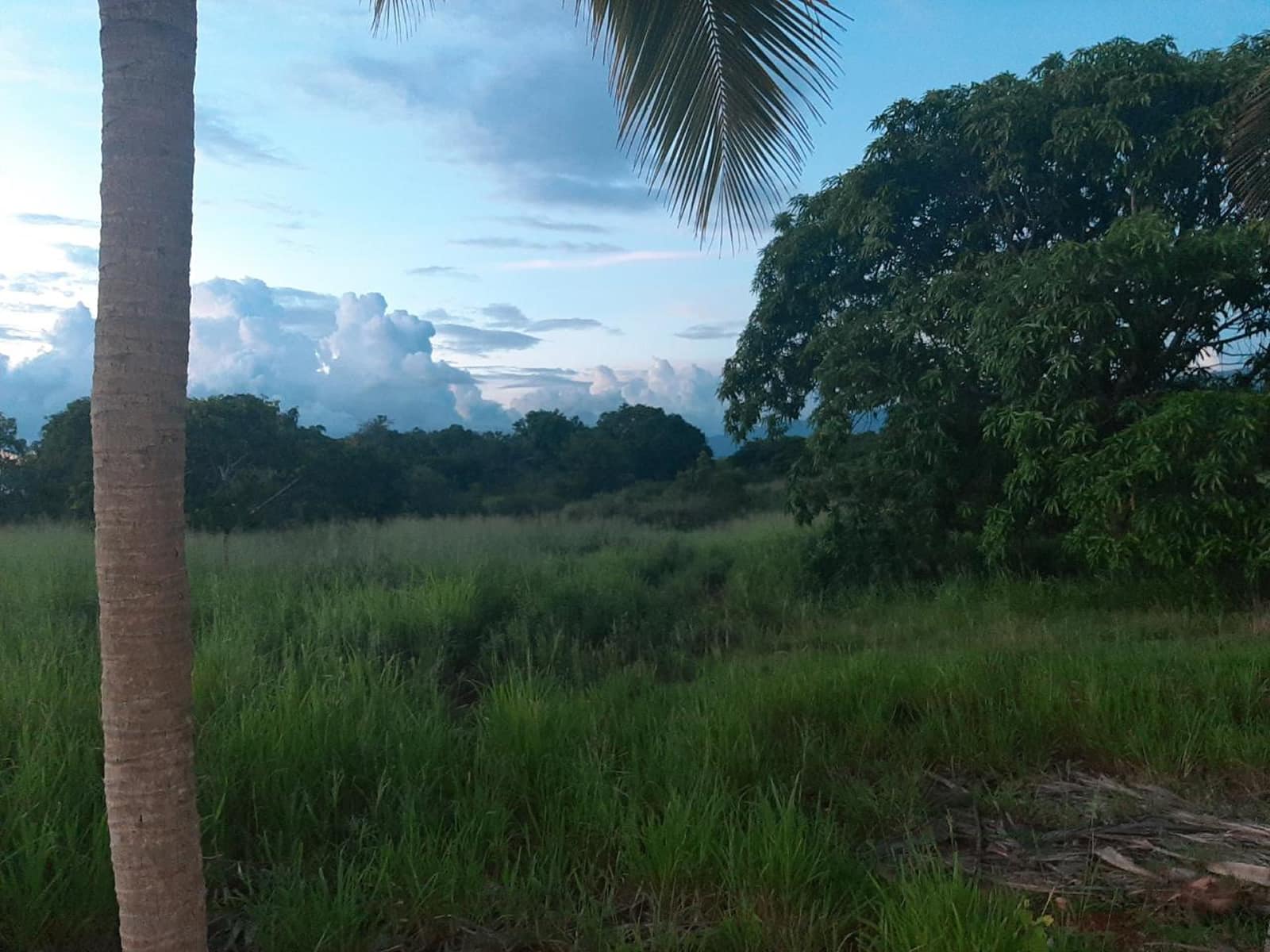 1 Acre of Land for Sale, Nain, Saint Elizabeth, Jamaica 7th Heaven