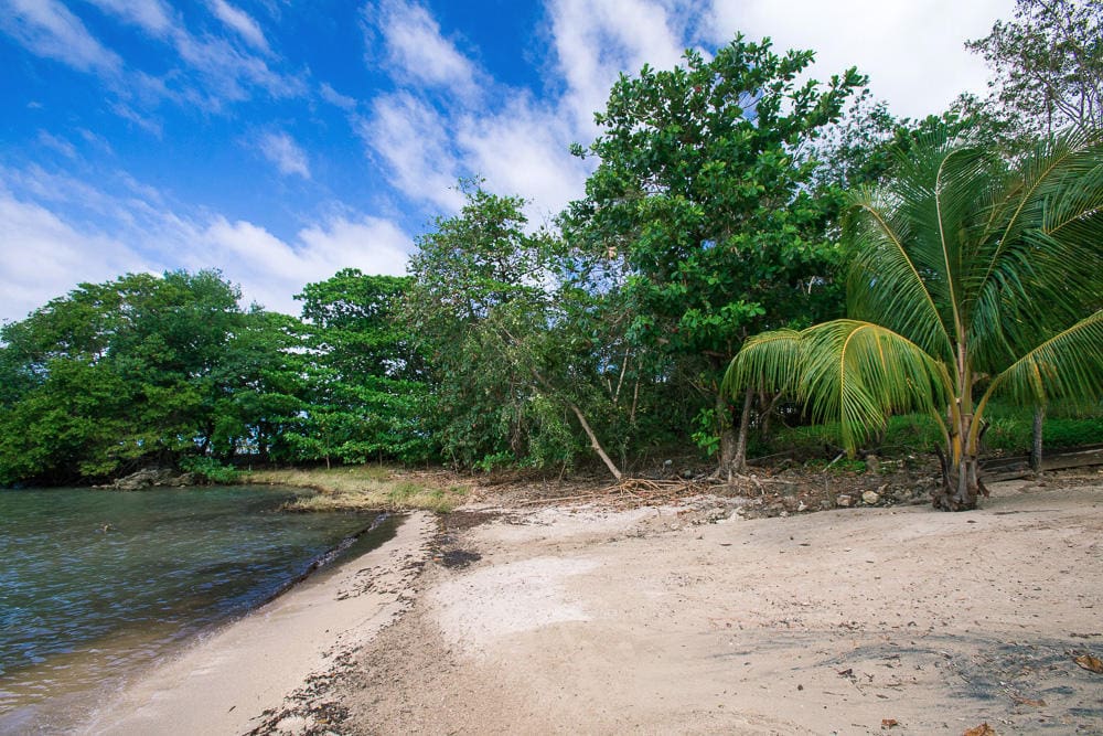 0.7 Acre Lot of Beachfront Land for Sale, Sunset Cove, Mangrove Bight
