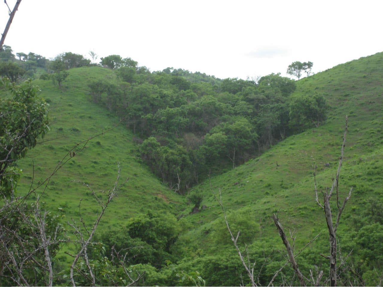 26.1 Acres of Oceanfront Land for Sale, Playa Alta Popoyo, Tola