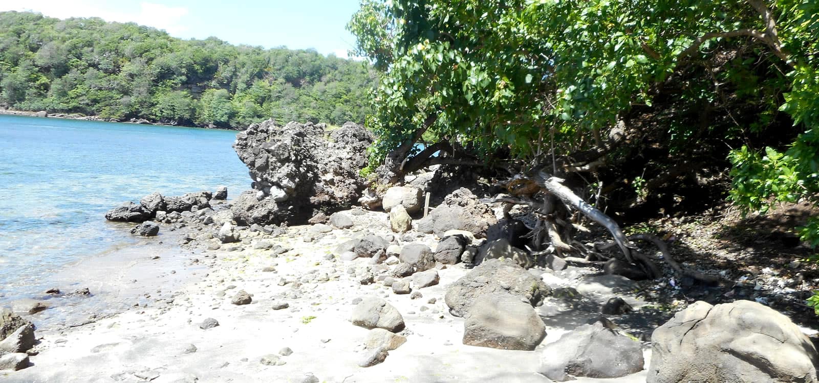 50 Acres of Beachfront Land for Sale, St David's, Grenada 7th Heaven