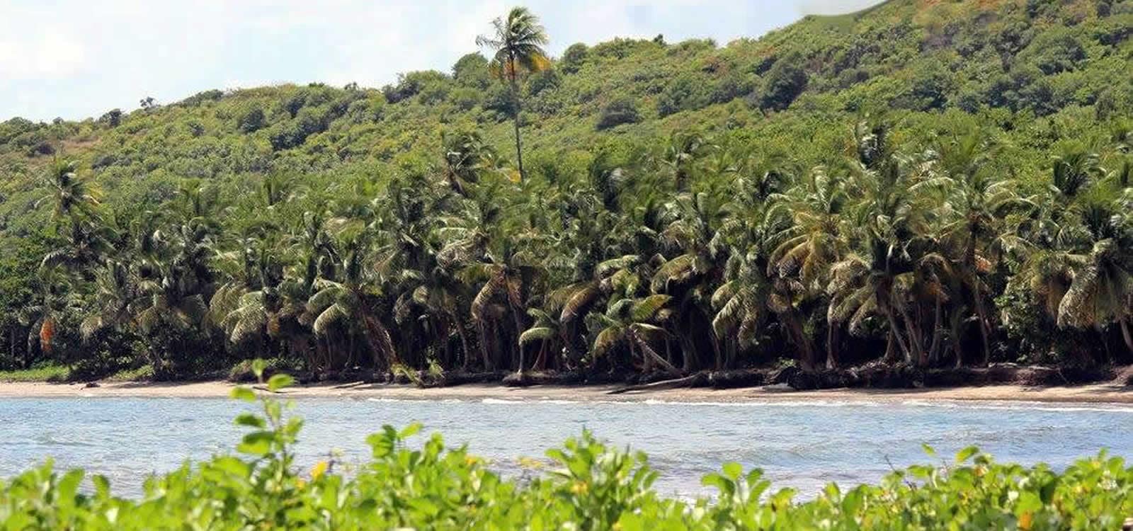 70 Acres of Beachfront Land for Sale, St Andrew, Grenada 7th Heaven Properties