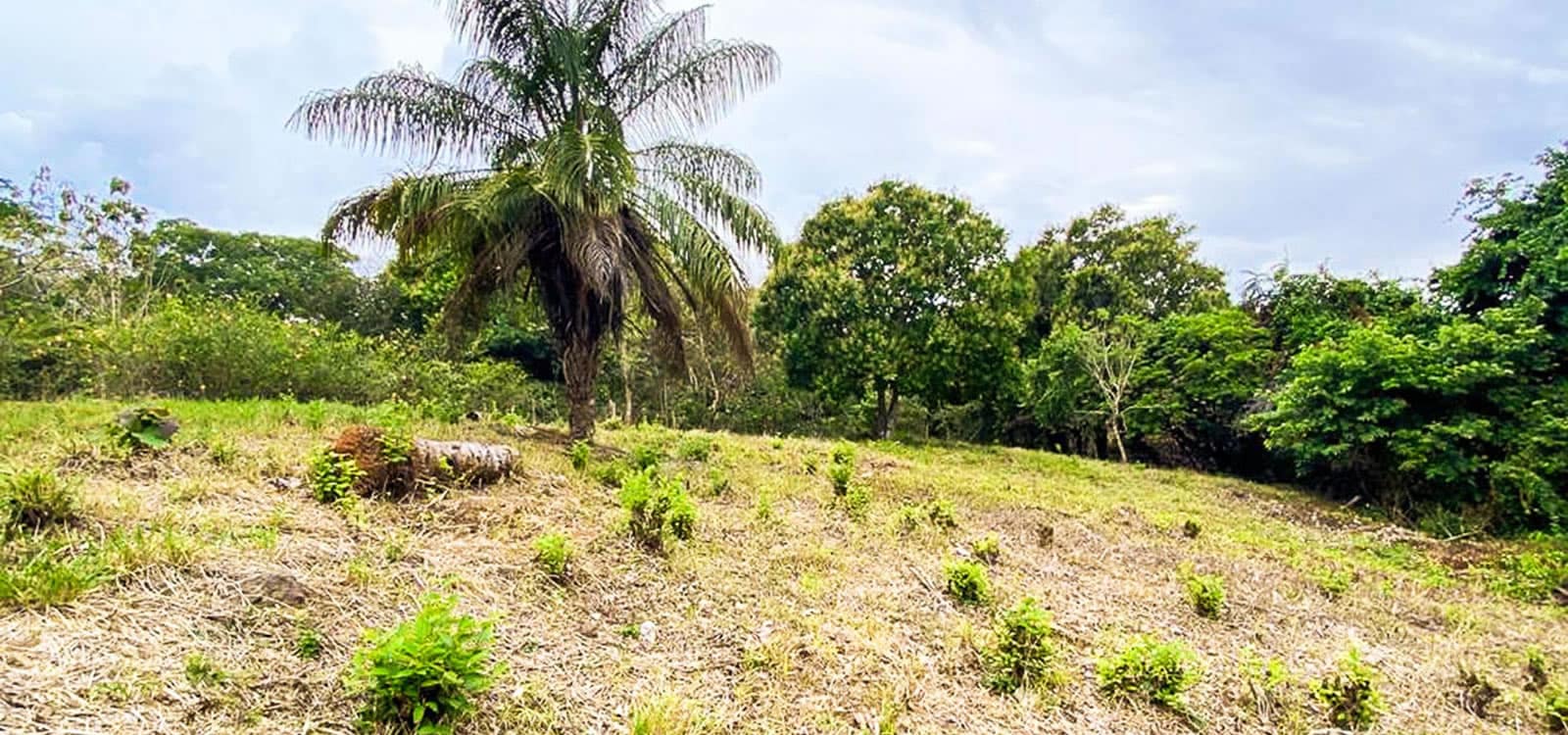 0.34 Acre Lot for Sale, Pedasi, Panama 7th Heaven Properties