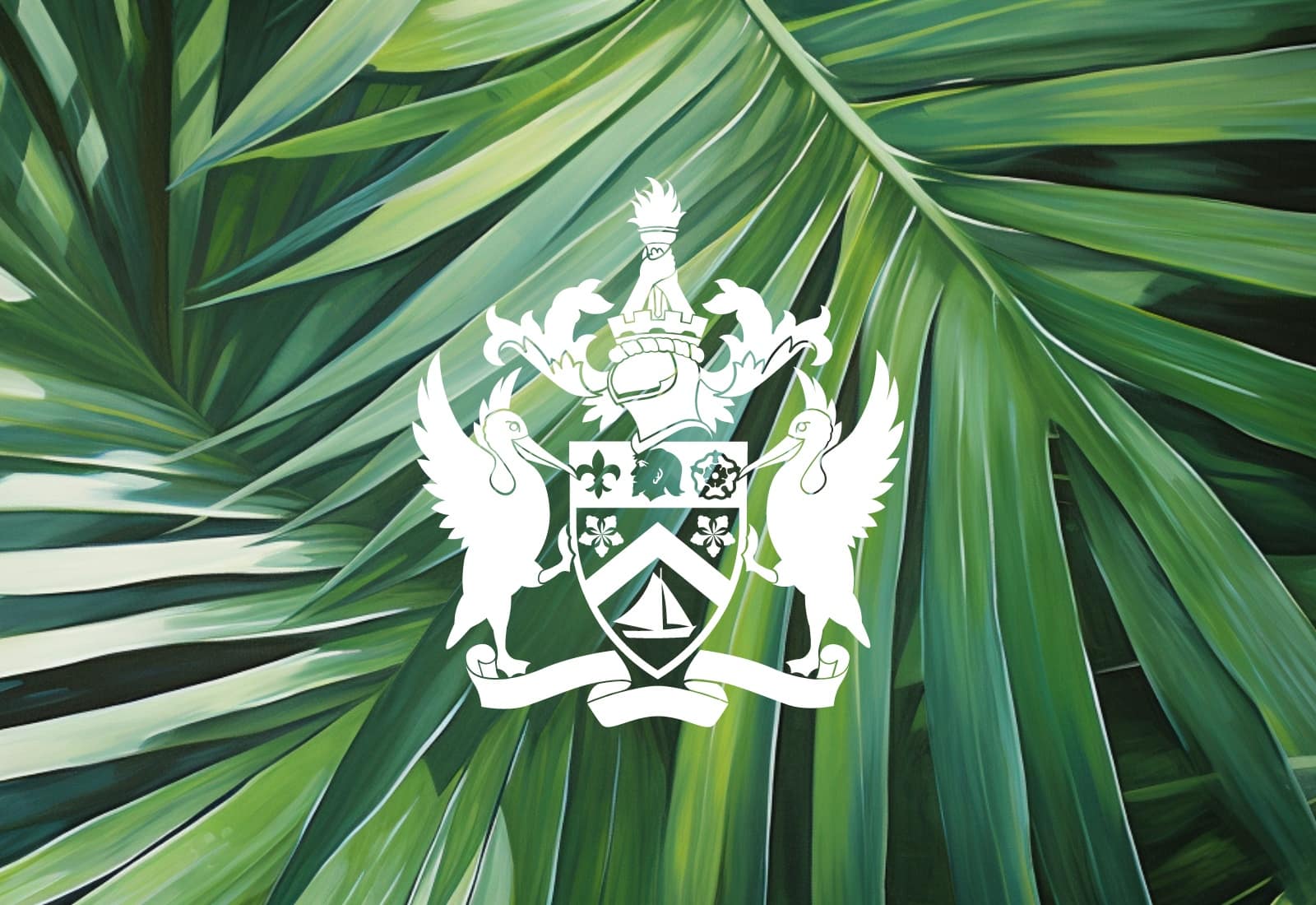 Sea View Lots of Land for Sale with Option to Build Custom Homes