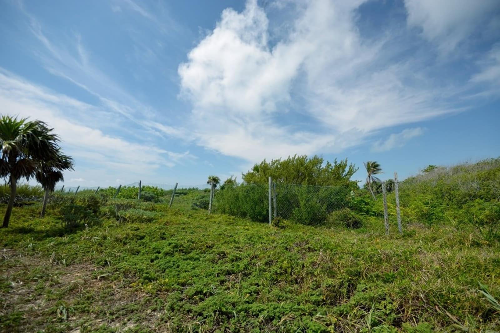 0.48 Acres of Beachfront Land for Sale, Puerto Morelos, Quintana Roo