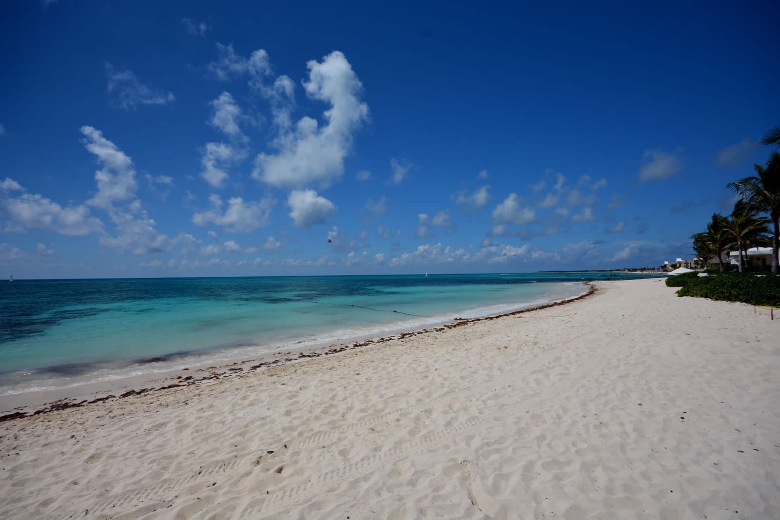 1,155 Square Meter Lot for Sale, Playa Paraiso, Playa del Carmen